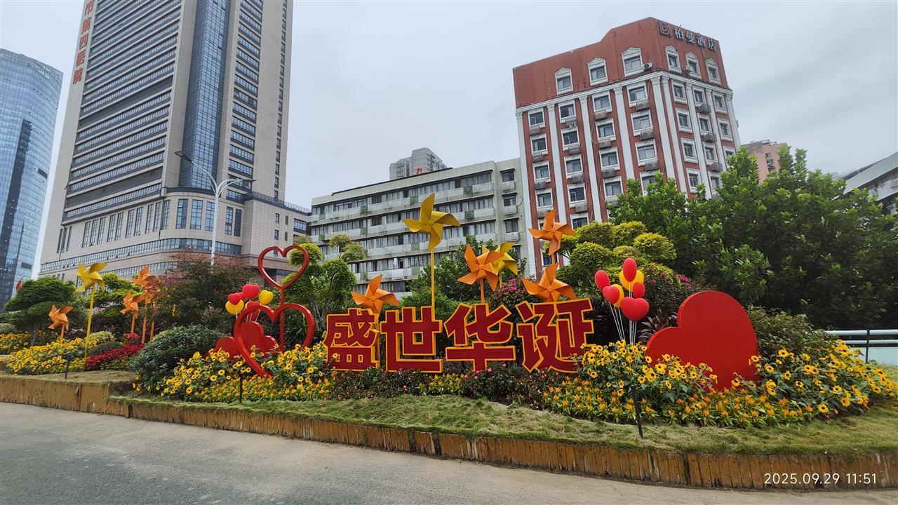 武胜路高架.jpg