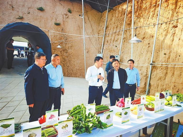 专家在平凉市泾川县万亩设施蔬菜产业园调研 新甘肃·甘肃日报记者 田丽媛