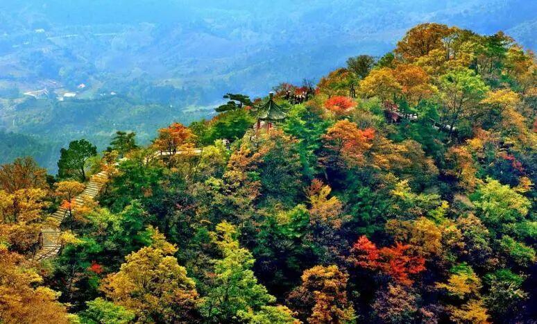 王顺山红叶观赏体验区