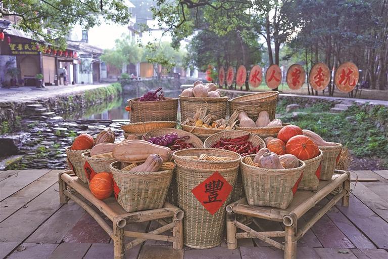 李坑溪畔“啃秋”