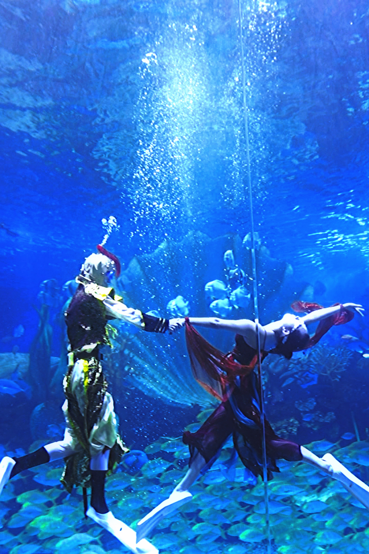 叮~一份邀请函待解锁!提取码:徐州鼓楼欢迎您!