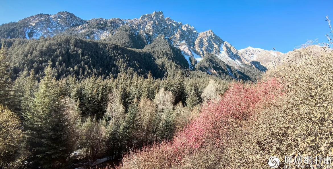 河西走廊临松薤谷