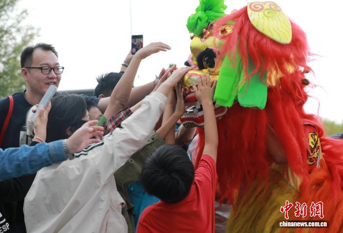 10月2日，在河北省沧州铁狮与旧城遗址公园，舞狮演员与游客互动。田博 摄