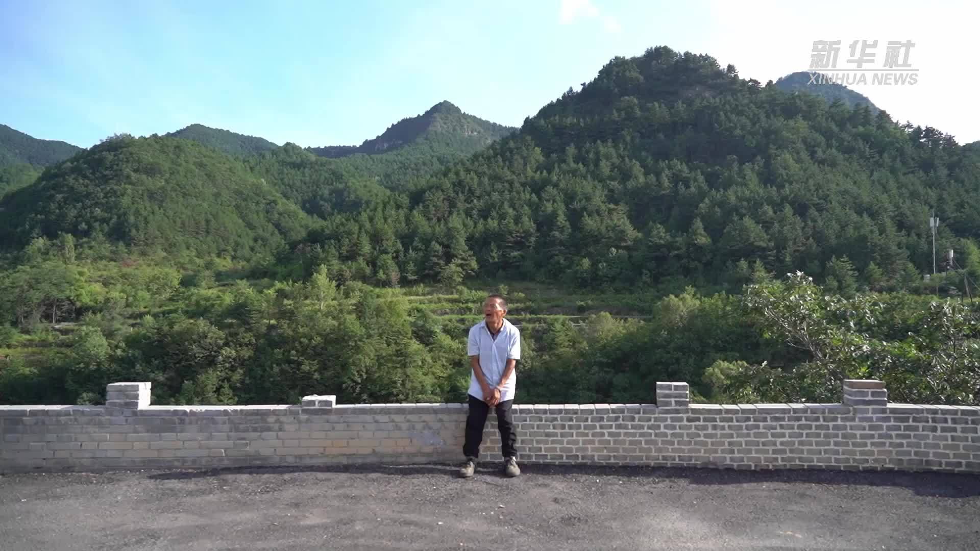 微纪录片｜海松和他的20几个“家”