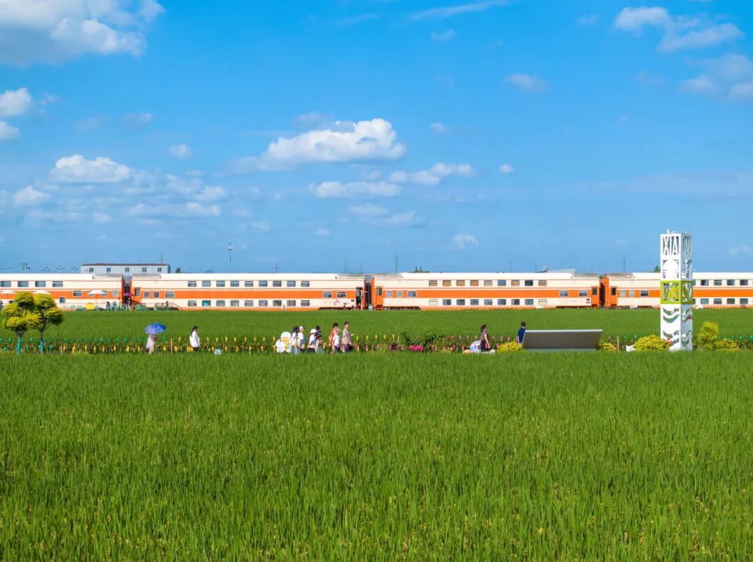 鲁巍 23年10月2日茂新村.jpg