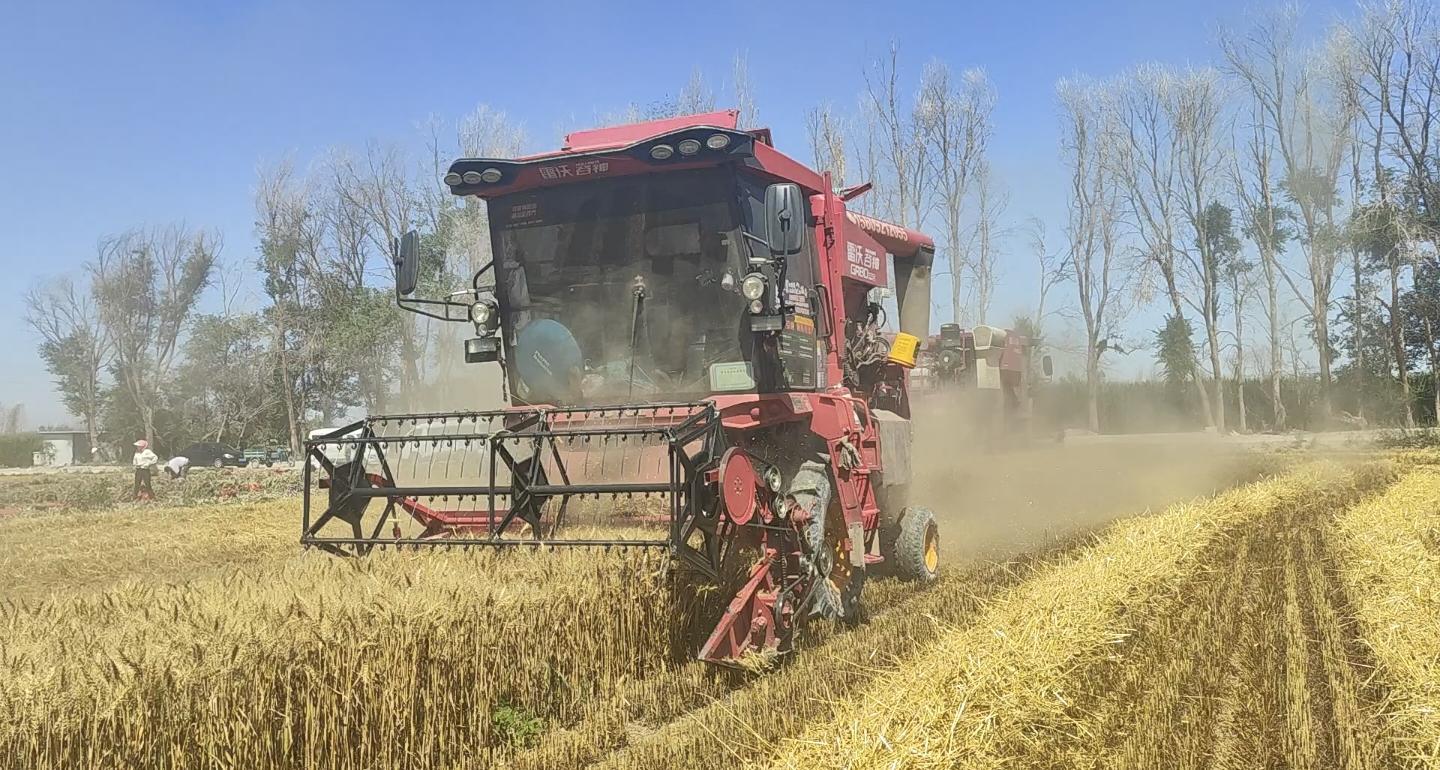 △网友　随遇而安　摄