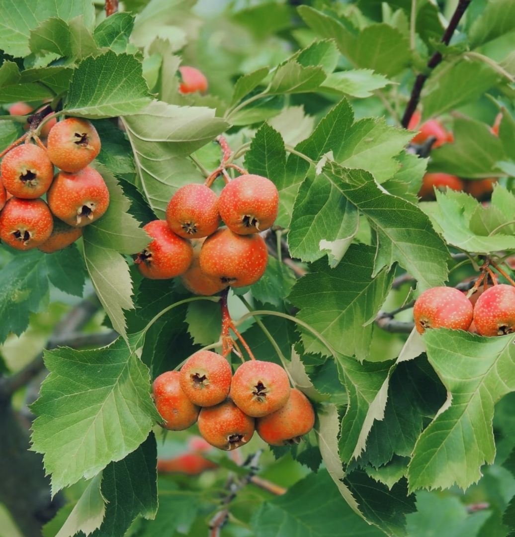 △金昌市融媒体中心记者　马彤　摄