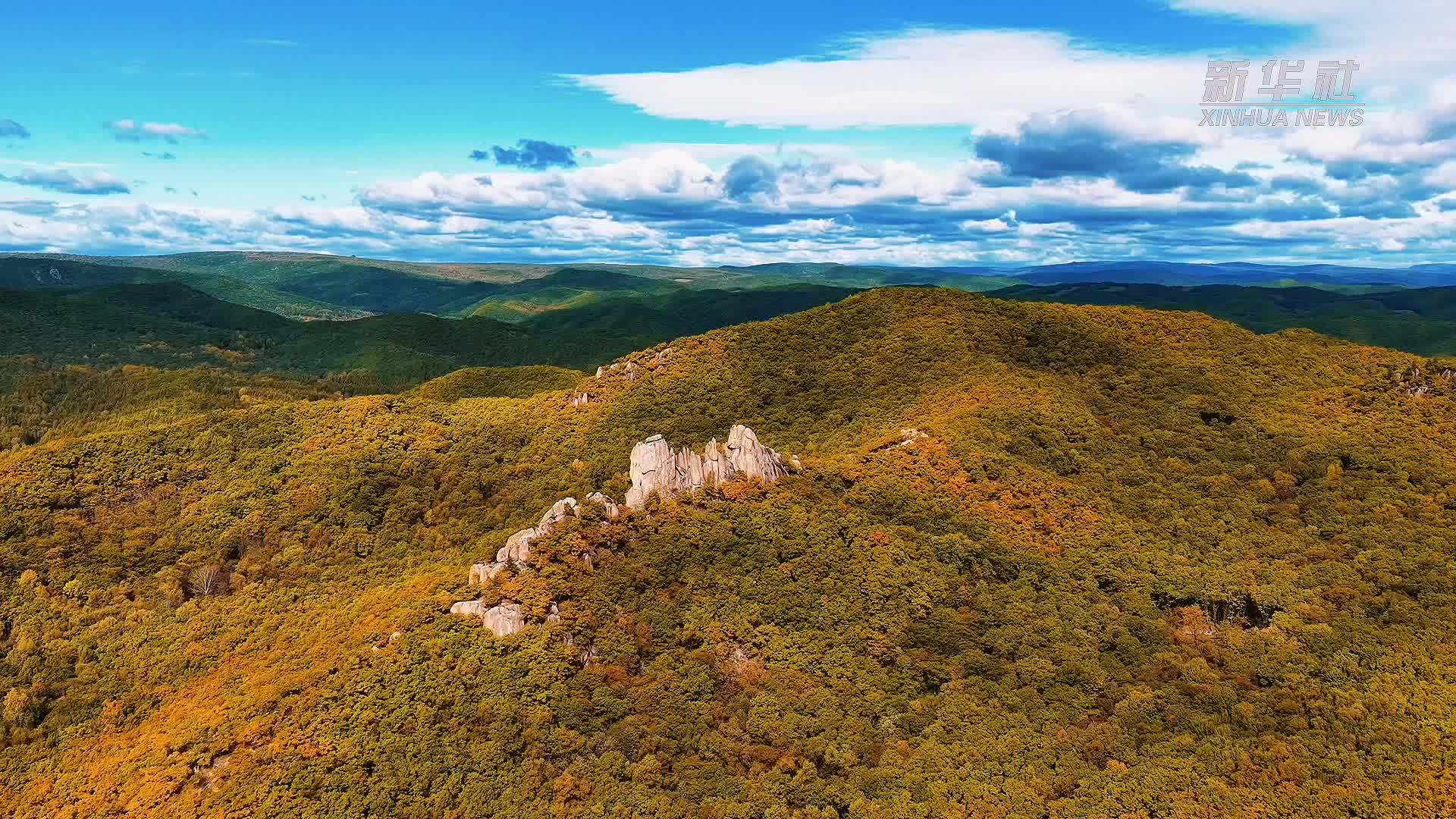 云赏黑龙江三道关国家森林公园美景
