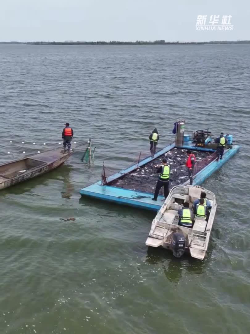 秀我中国｜江苏东海：人欢鱼跃庆丰收