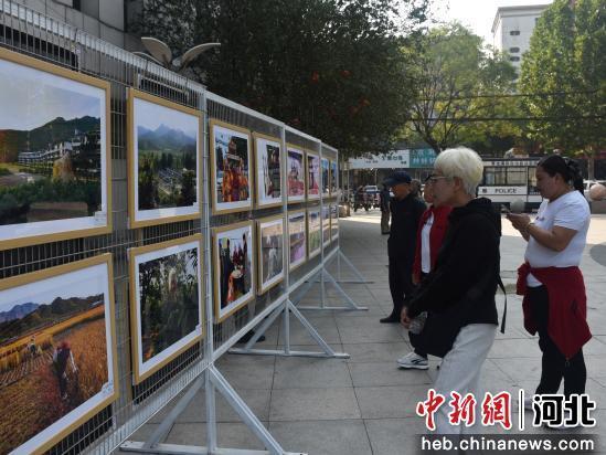 图为活动现场。 陈晓蕾 摄