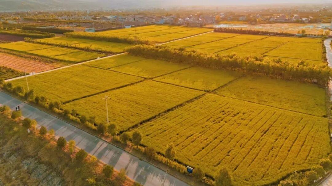 上马村至水稻乡观赏体验区