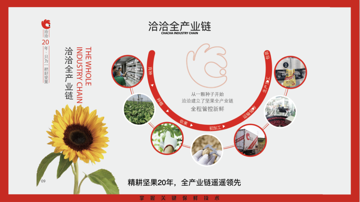 洽洽全产业链