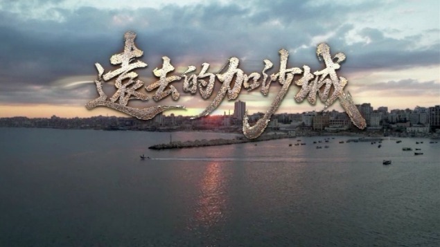 远去的加沙城