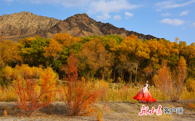 新甘肃&middot;甘肃日报通讯员　高宏善