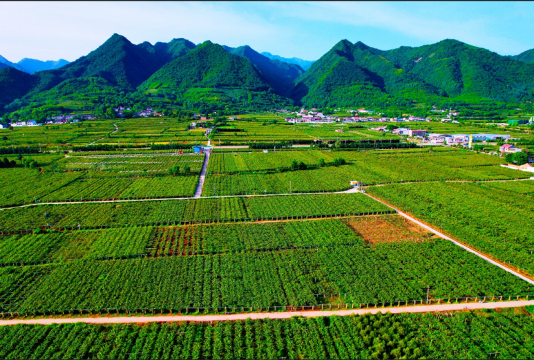 周一村田园综合体观赏体验区