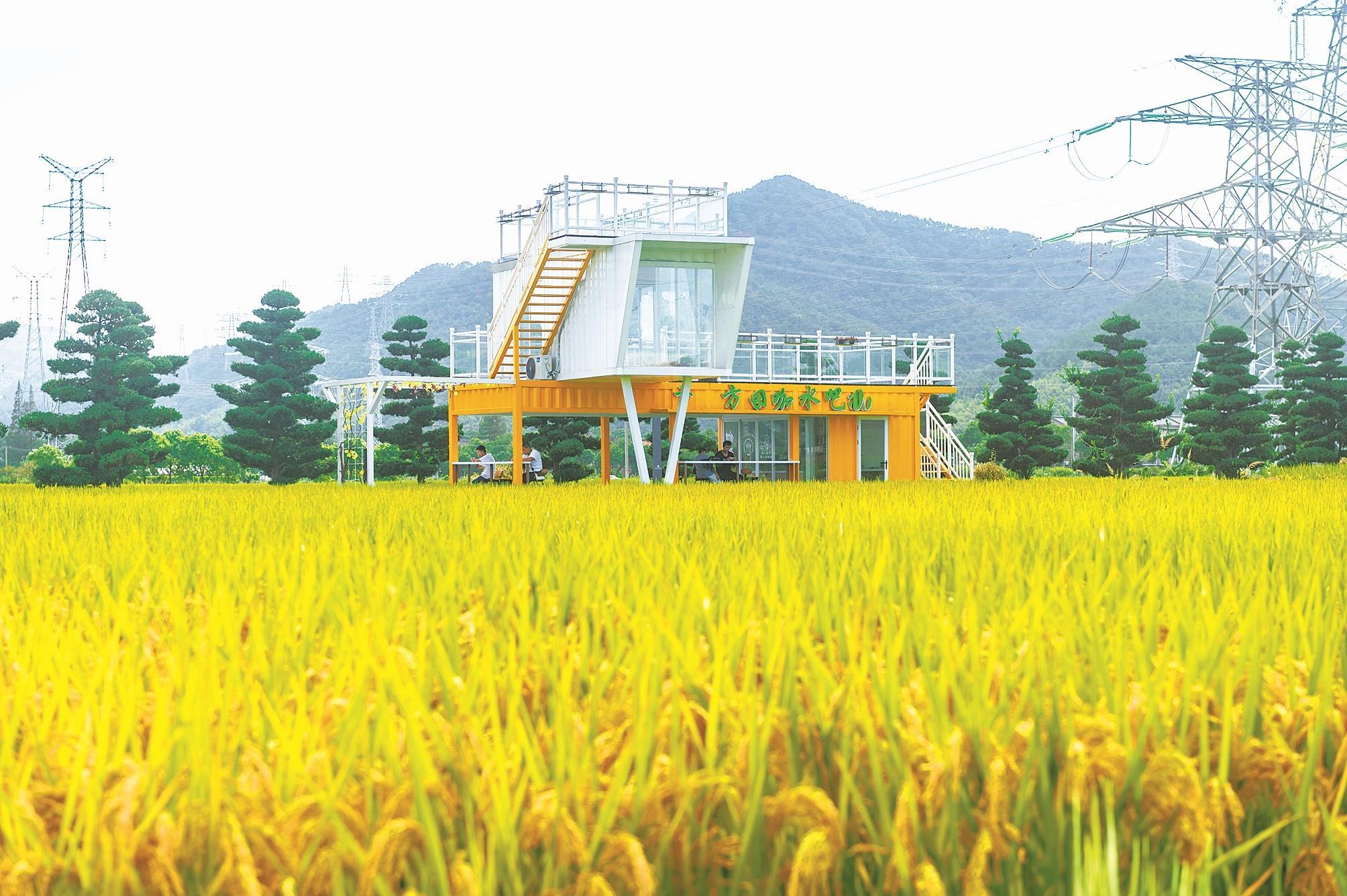 千亩方田一景。（沈天舟 摄）