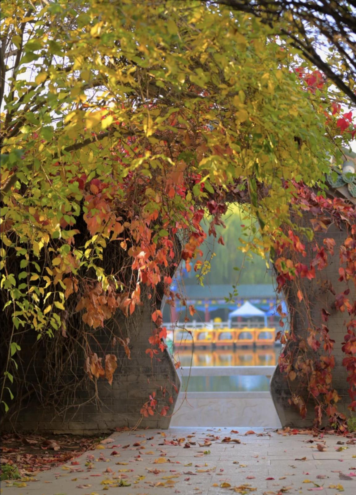 △网友　STBB　摄