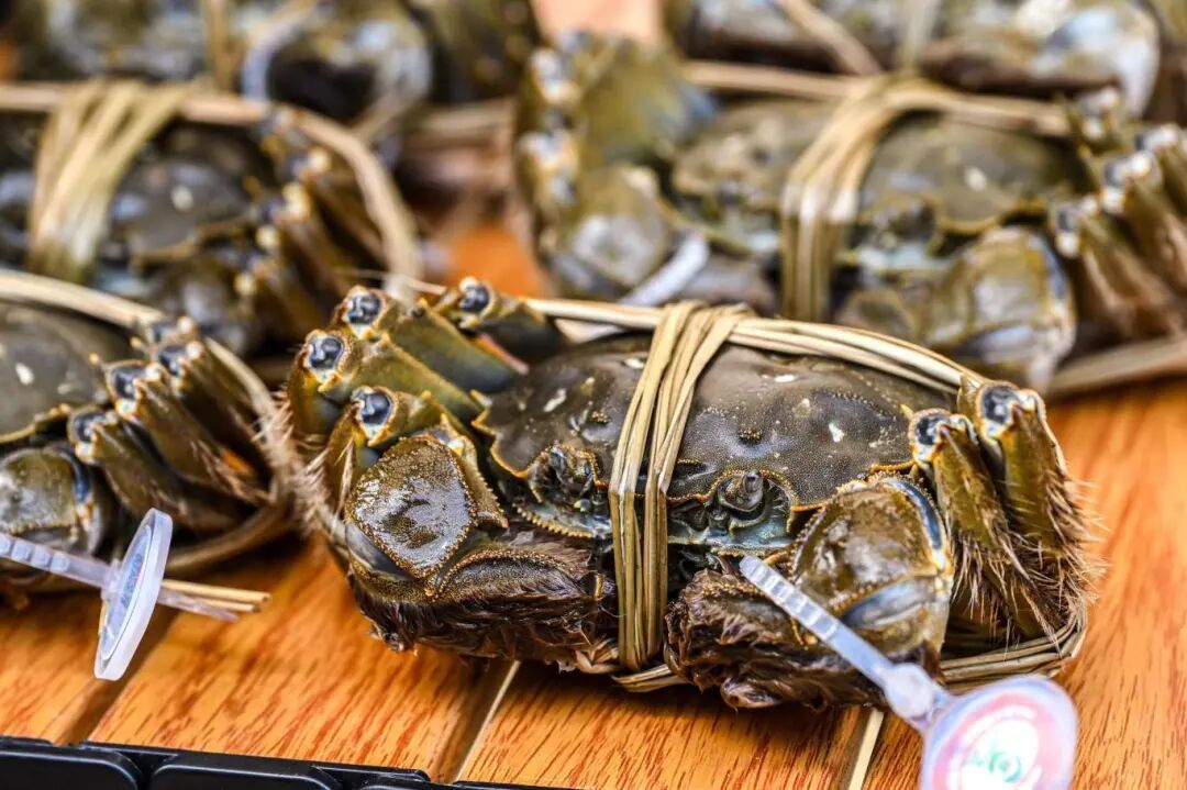 图片来源:苏州工业园区发布