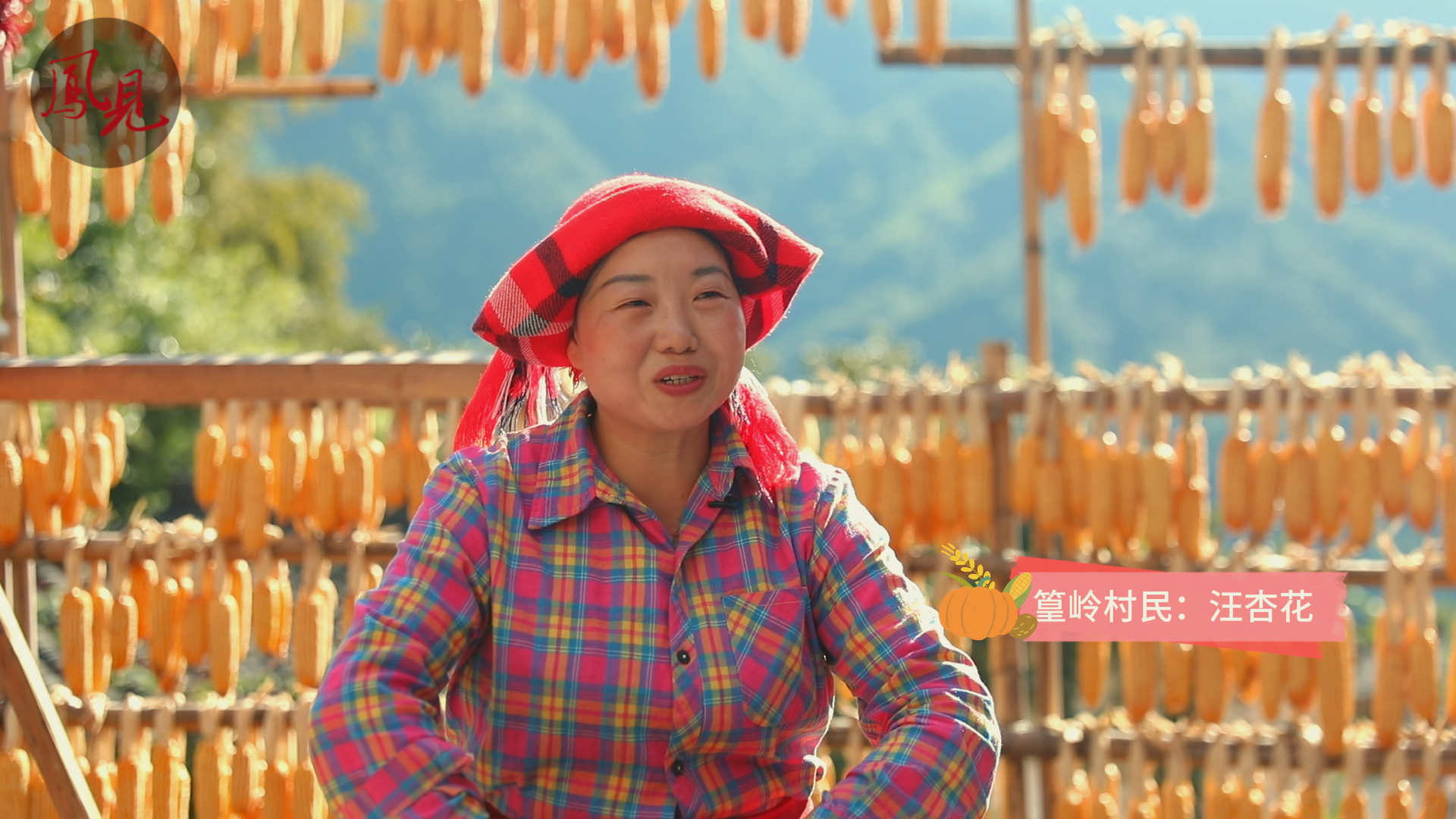 鳳見第204期：我在篁嶺當農(nóng)民