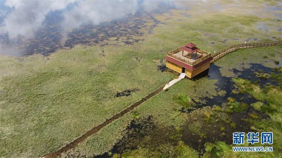 这是9月15日在甘肃省甘南藏族自治州碌曲县拍摄的尕海湖（无人机照片）　新华社记者　张智敏　摄