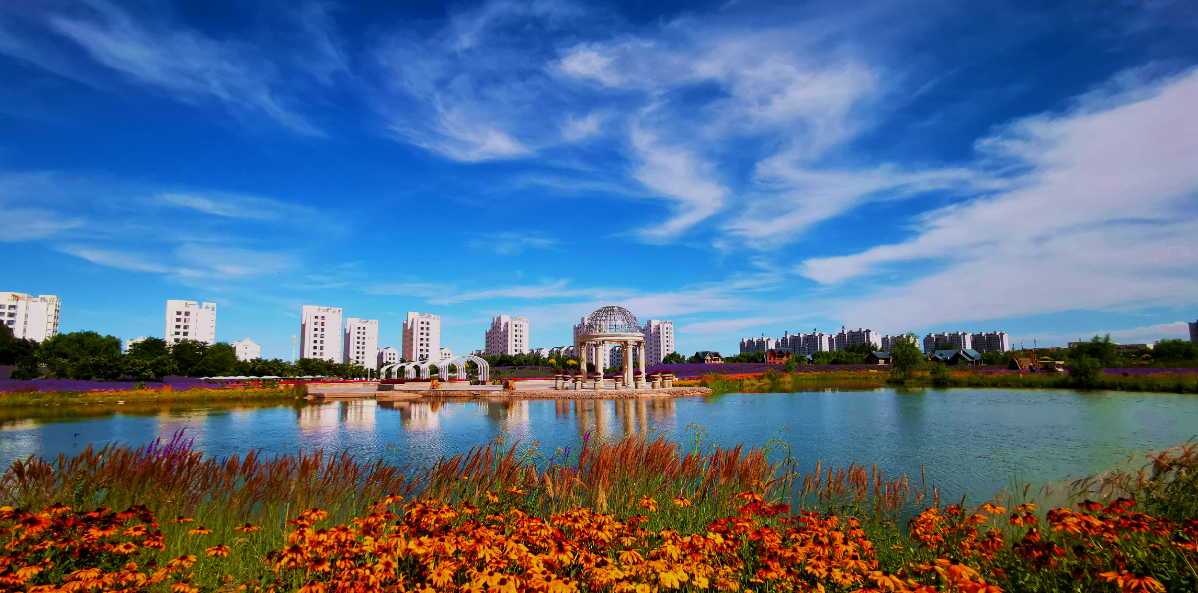 △《紫金花海秋韵》　网友　陈兴明　摄