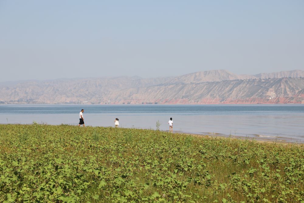 游客在东风村“黄河三湾”景区游玩 新华社记者 马莎 摄