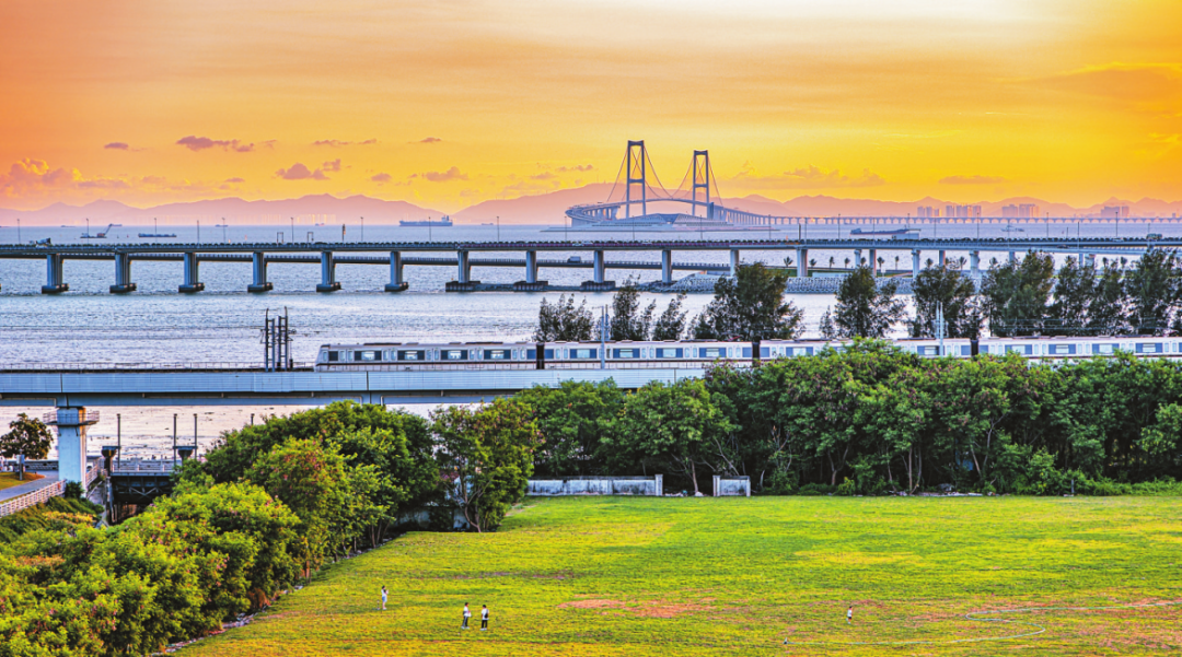 深圳西乡“线上枫桥”出圈，破解百万人口街道治理难题