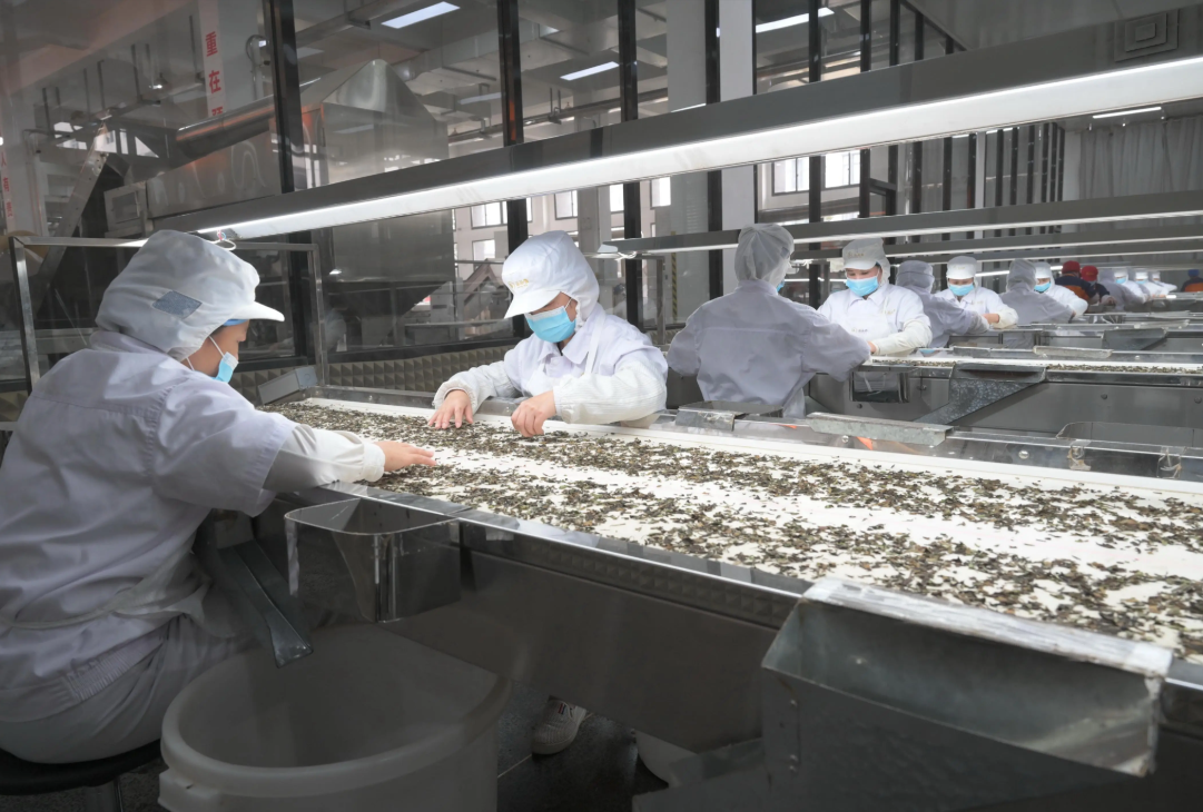 张家口：做好水文章，激活产业链