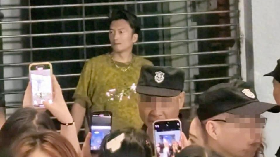 谢霆锋模仿者回应，抱歉引发拥堵，为了养家糊口，否认百万整容千万身价封面图