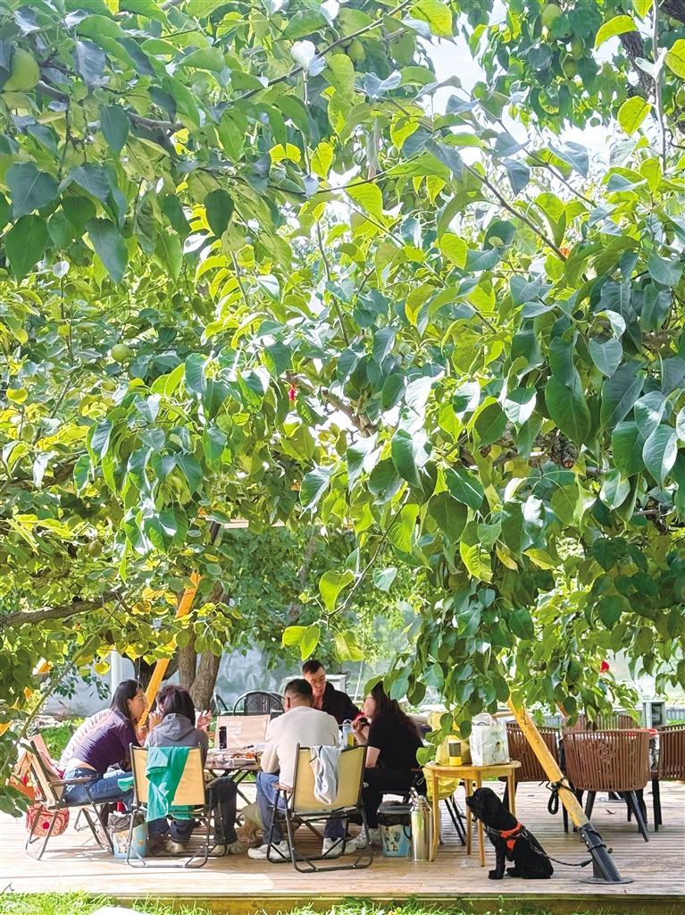 梨园内游客正在欢聚