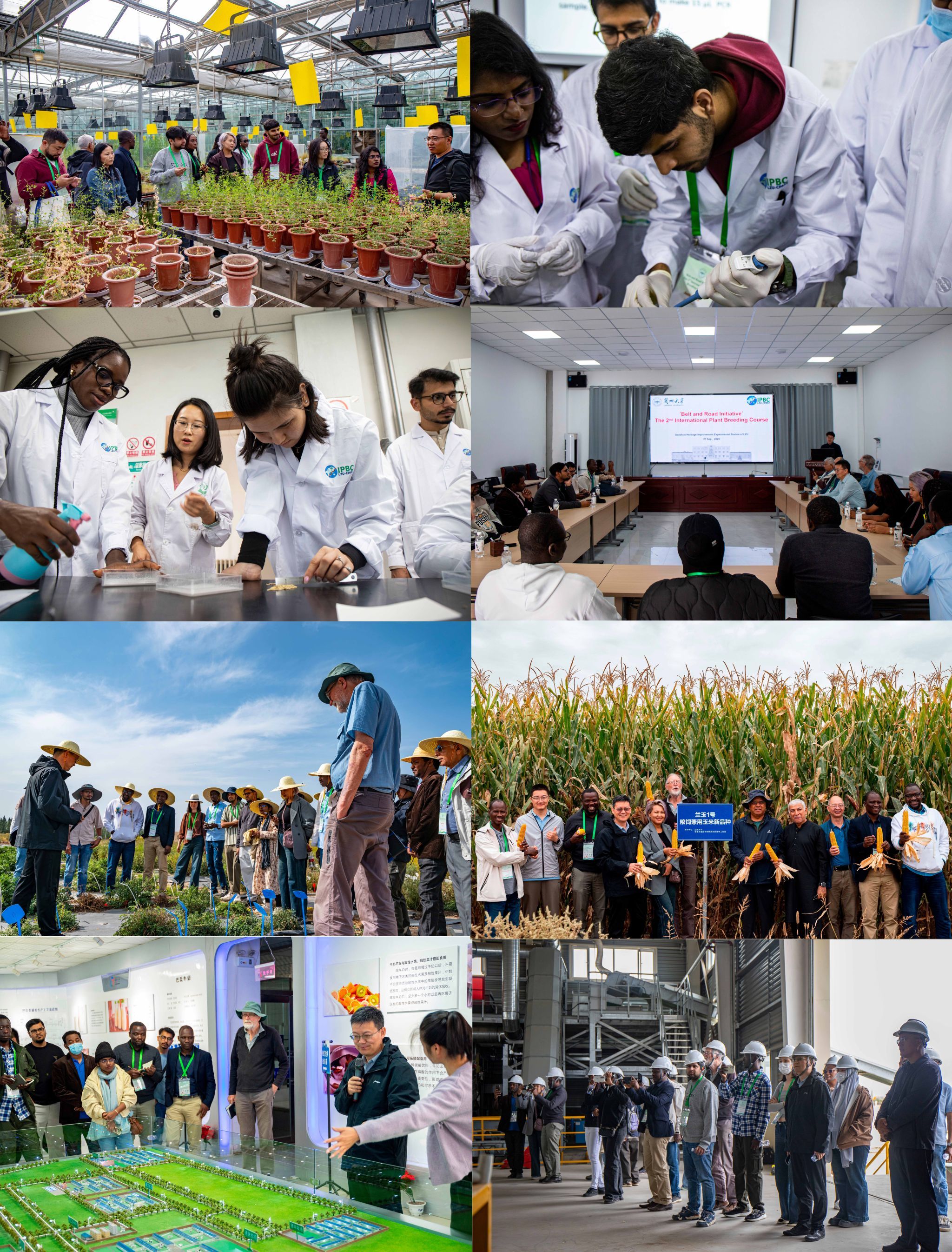 兰大发起成立联盟倡议　解锁“一带一路”“芯”密码