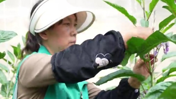 国庆探访甘肃积石山　看看地震受灾群众新生活过得咋样