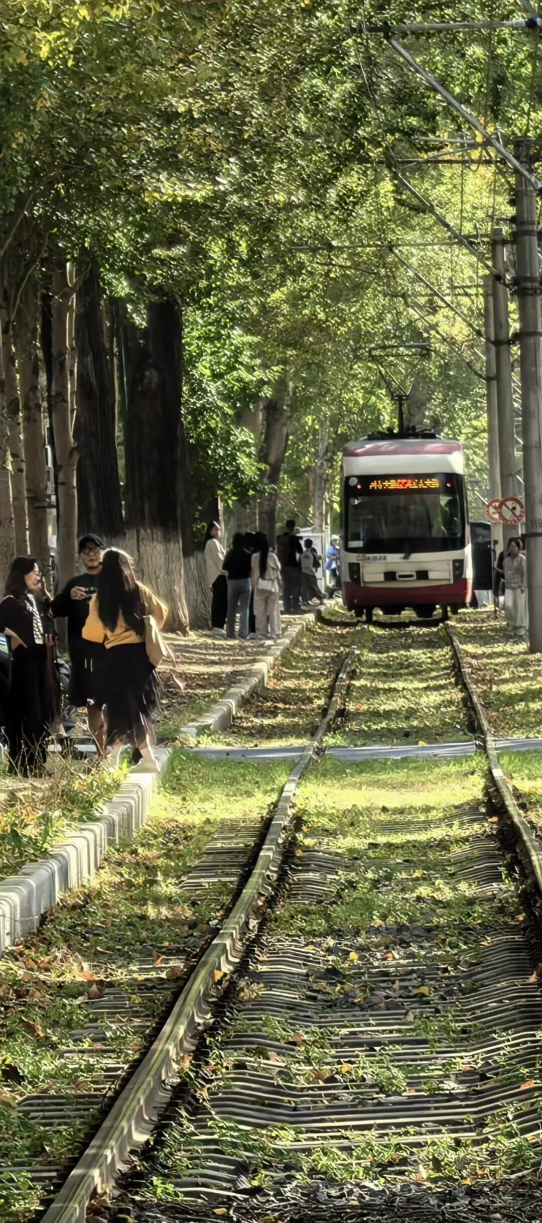 这座最懂年轻人的城市，正在承包他们的情绪价值