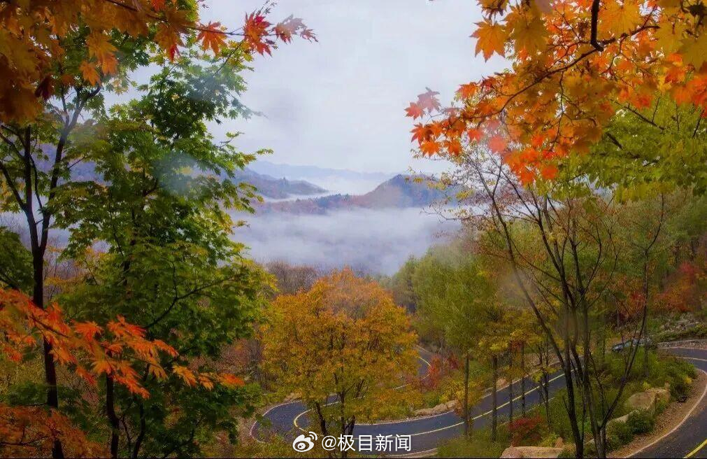 辽宁老边沟禁止游客捡枫叶？景区回应