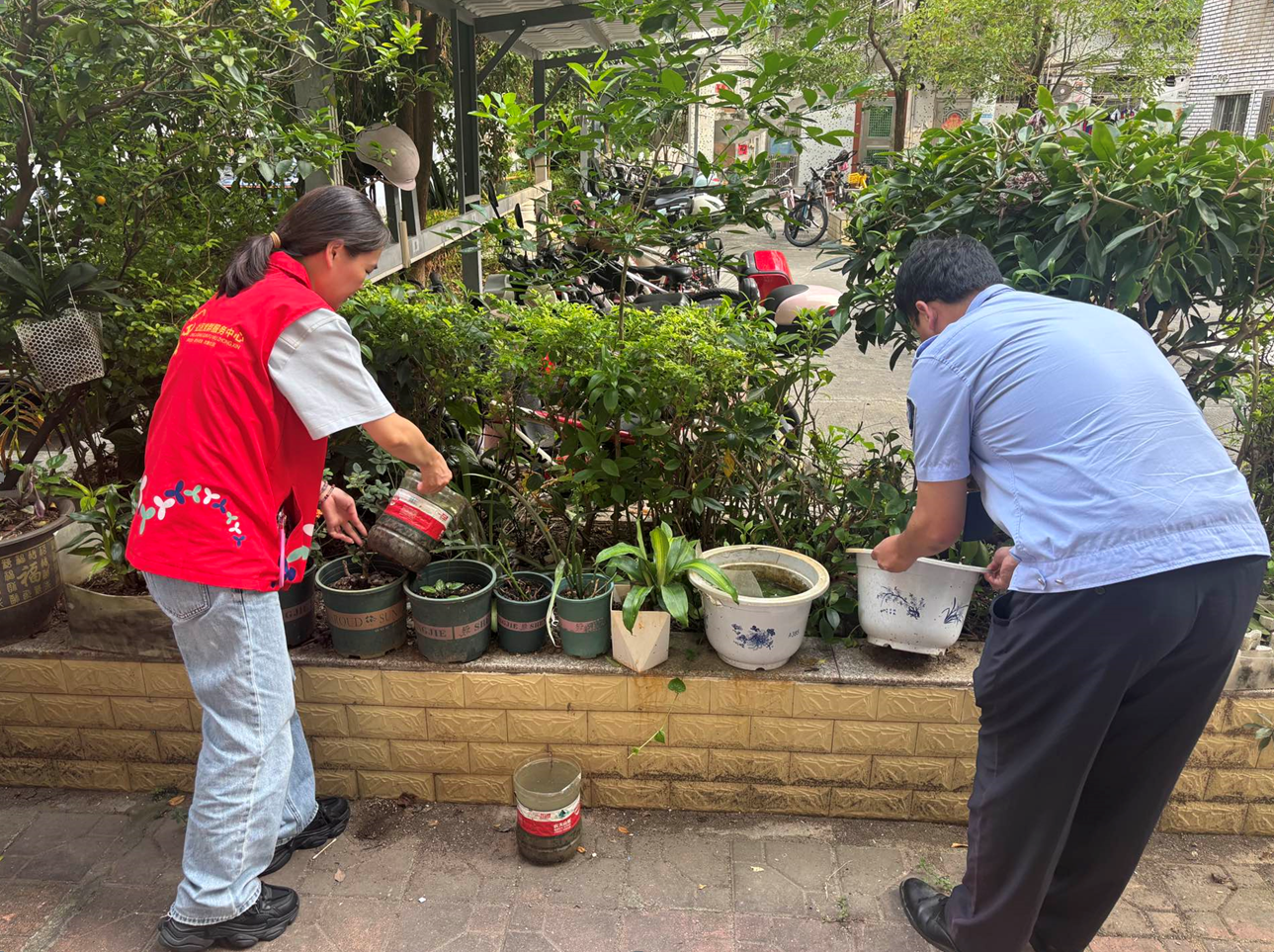 全民动手分片净化环境 西乡龙腾社区推动爱国卫生运动走深走实