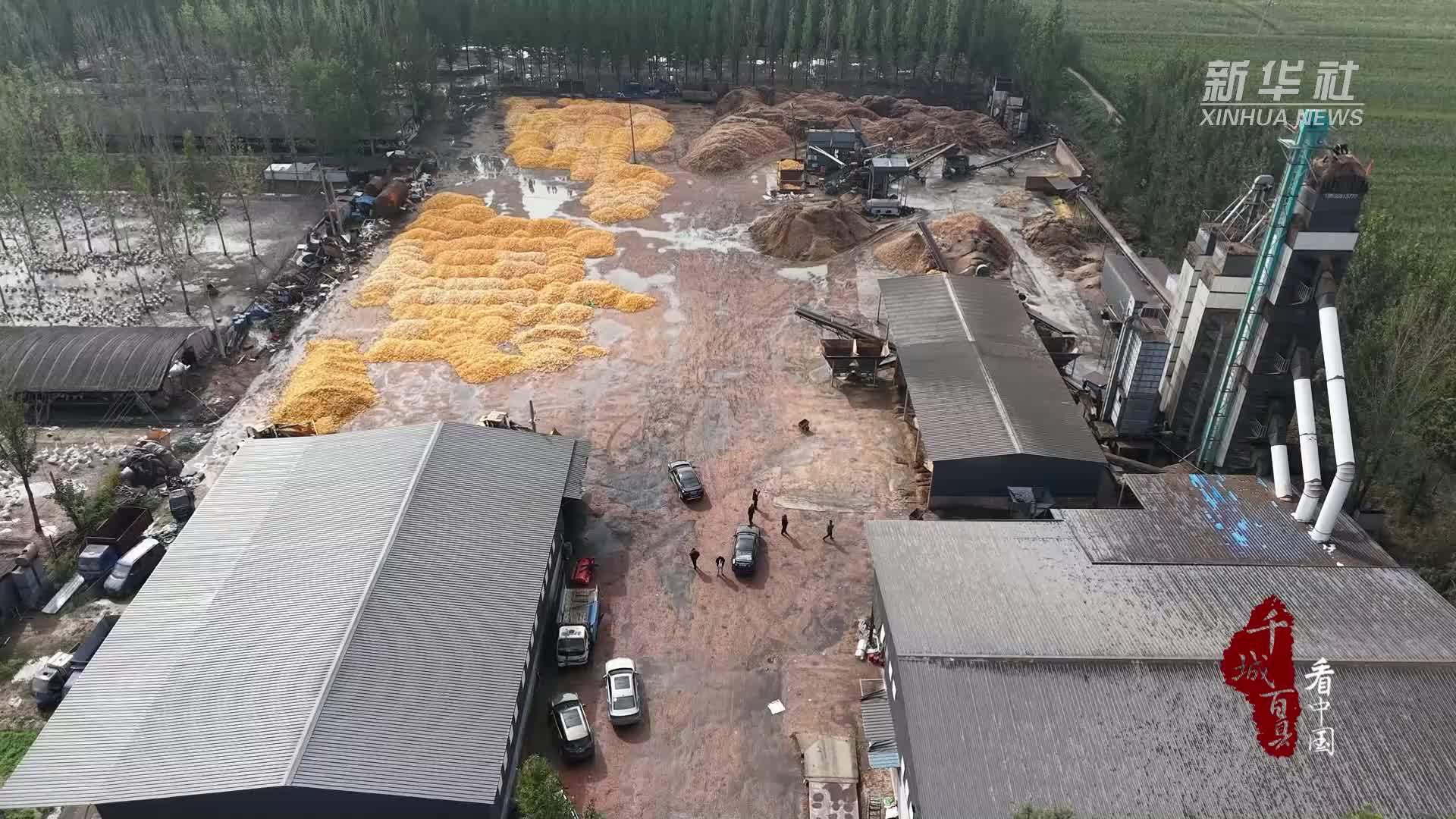 千城百县看中国｜山东冠县：55套烘干设备助力“三秋”生产