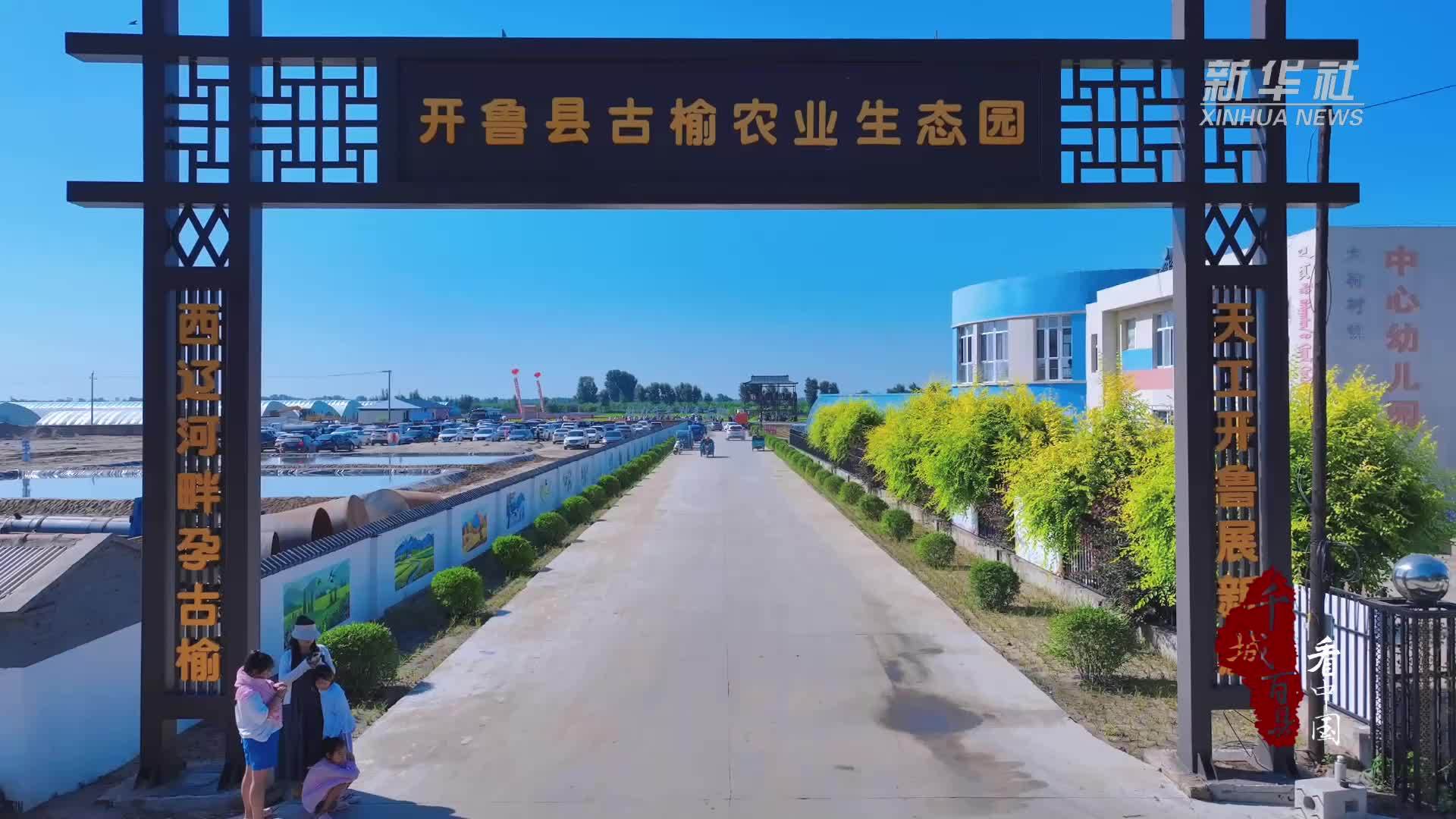 千城百县看中国｜内蒙古：开鲁古榆农业生态园解锁农文旅新玩法