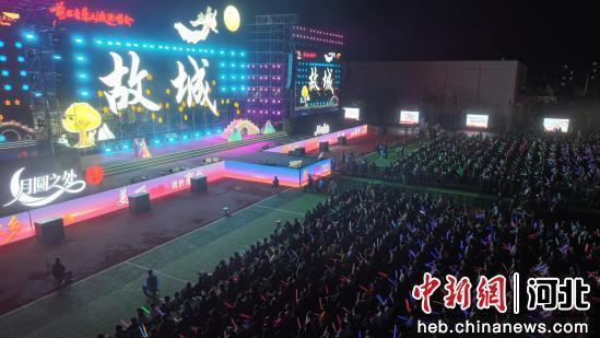 图为演唱会现场。 齐红雨 摄