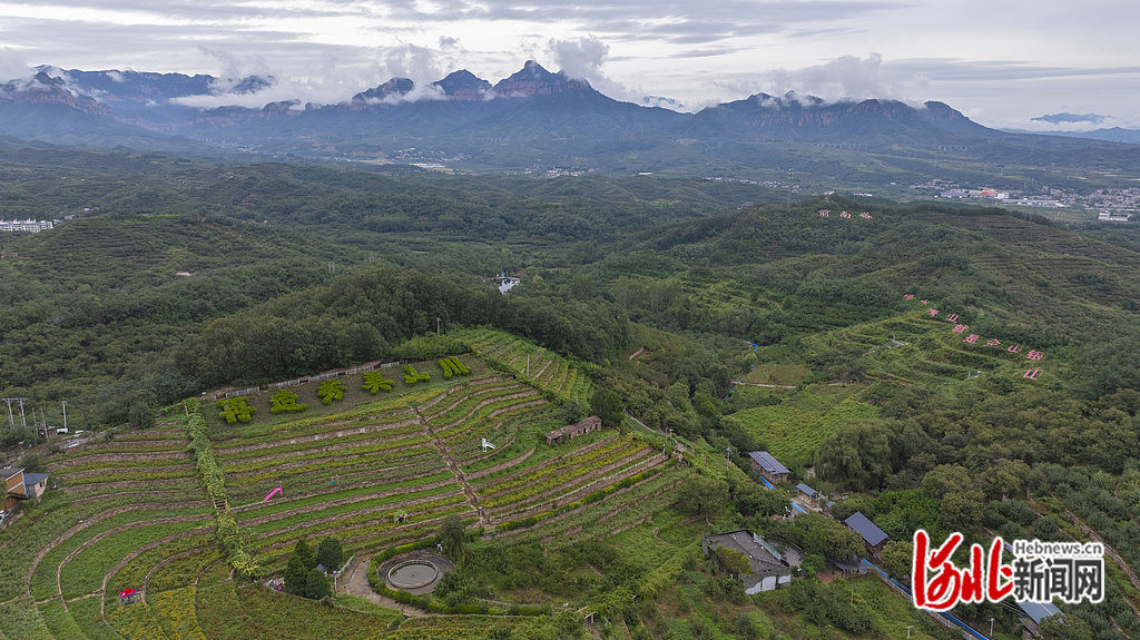 9月17日,无人机拍摄的“太行山最绿的地方”——邢台市信都区前南峪。
