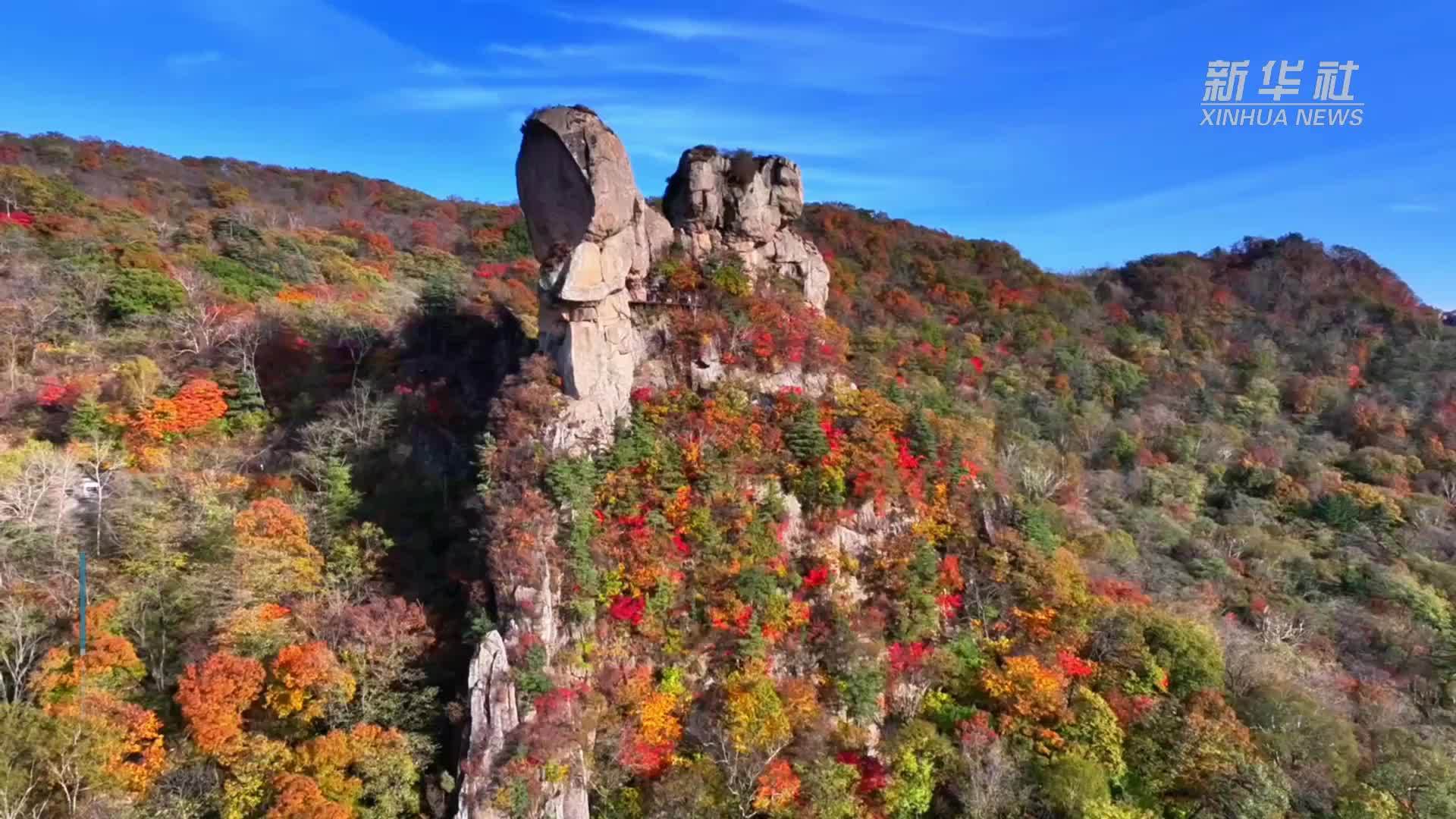 “枫”景如画引客来