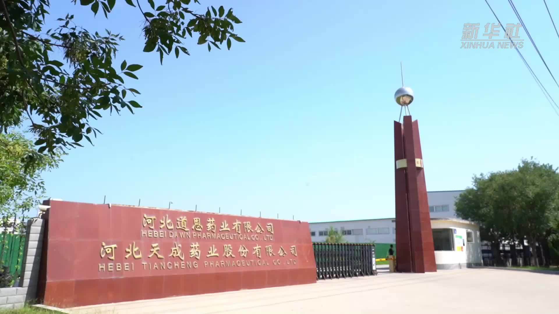 河北沧州：自主研发点亮企业创新之路