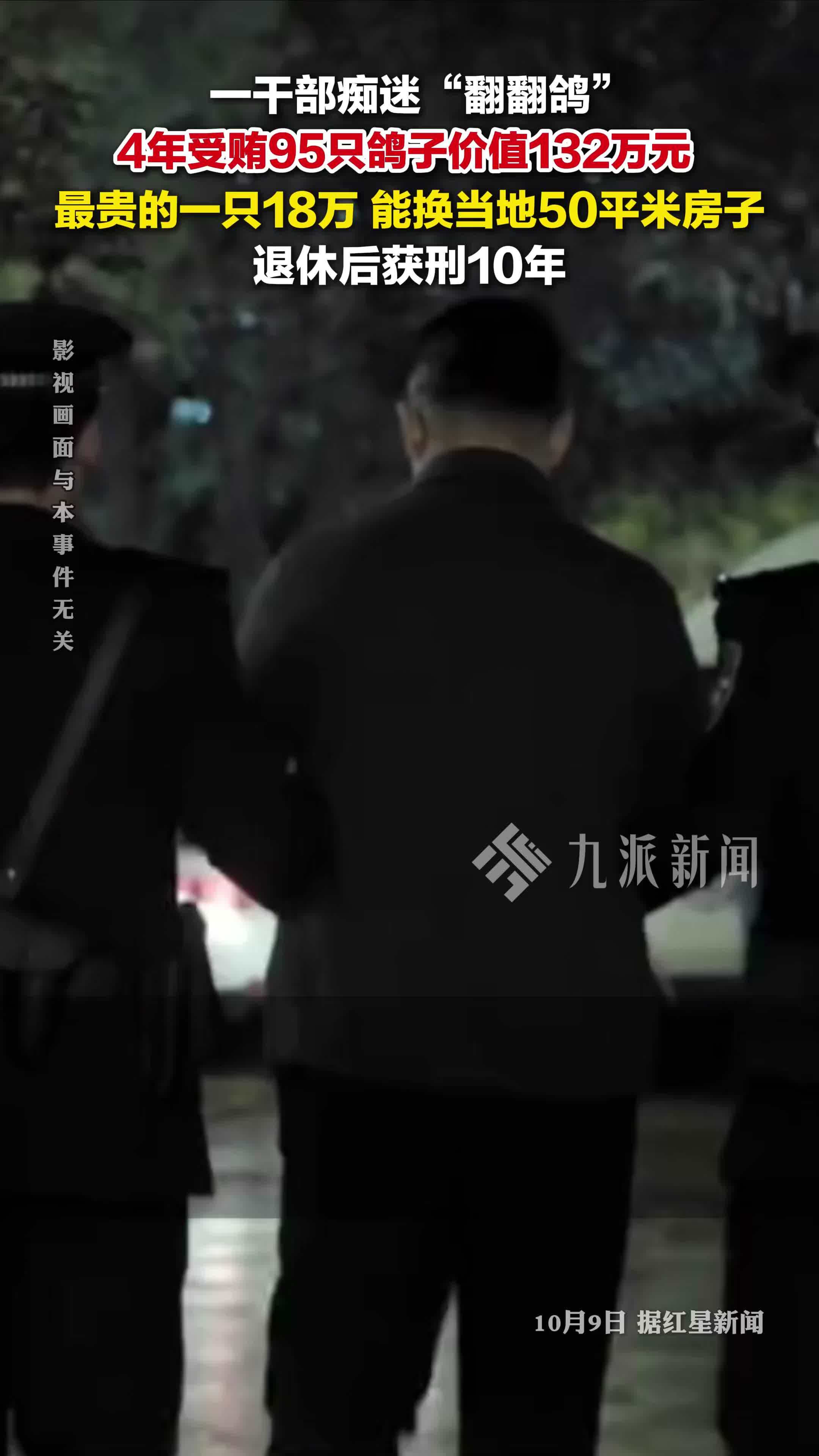 一干部痴迷翻翻鸽受贿95只鸽子：总价值132万元，最贵的一只18万，能换当地50平米房子