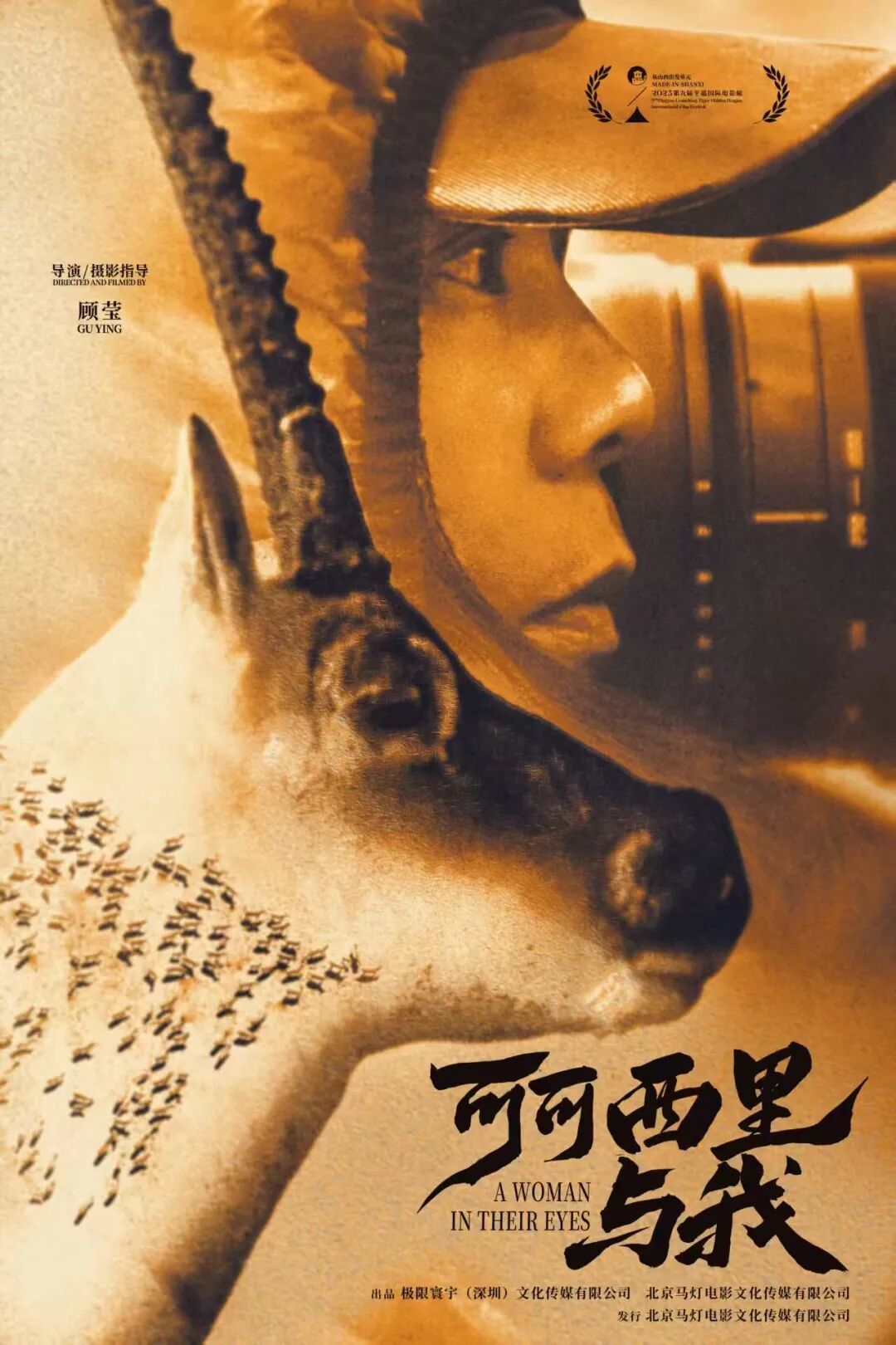 《我与可可西里》海报