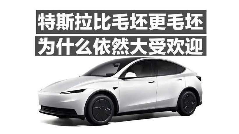 特斯拉比毛坯更毛坯 为什么依然大受欢迎？