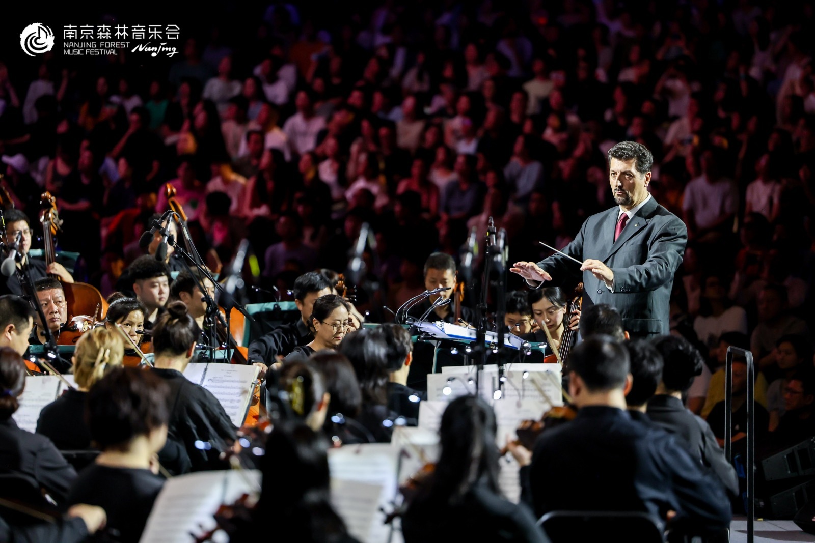 中山陵音乐台:卡门的燃情绽放!南京森林音乐会完美落幕