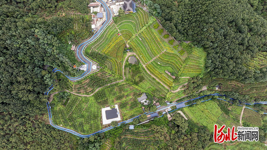 9月17日,无人机拍摄的“太行山最绿的地方”——邢台市信都区前南峪。