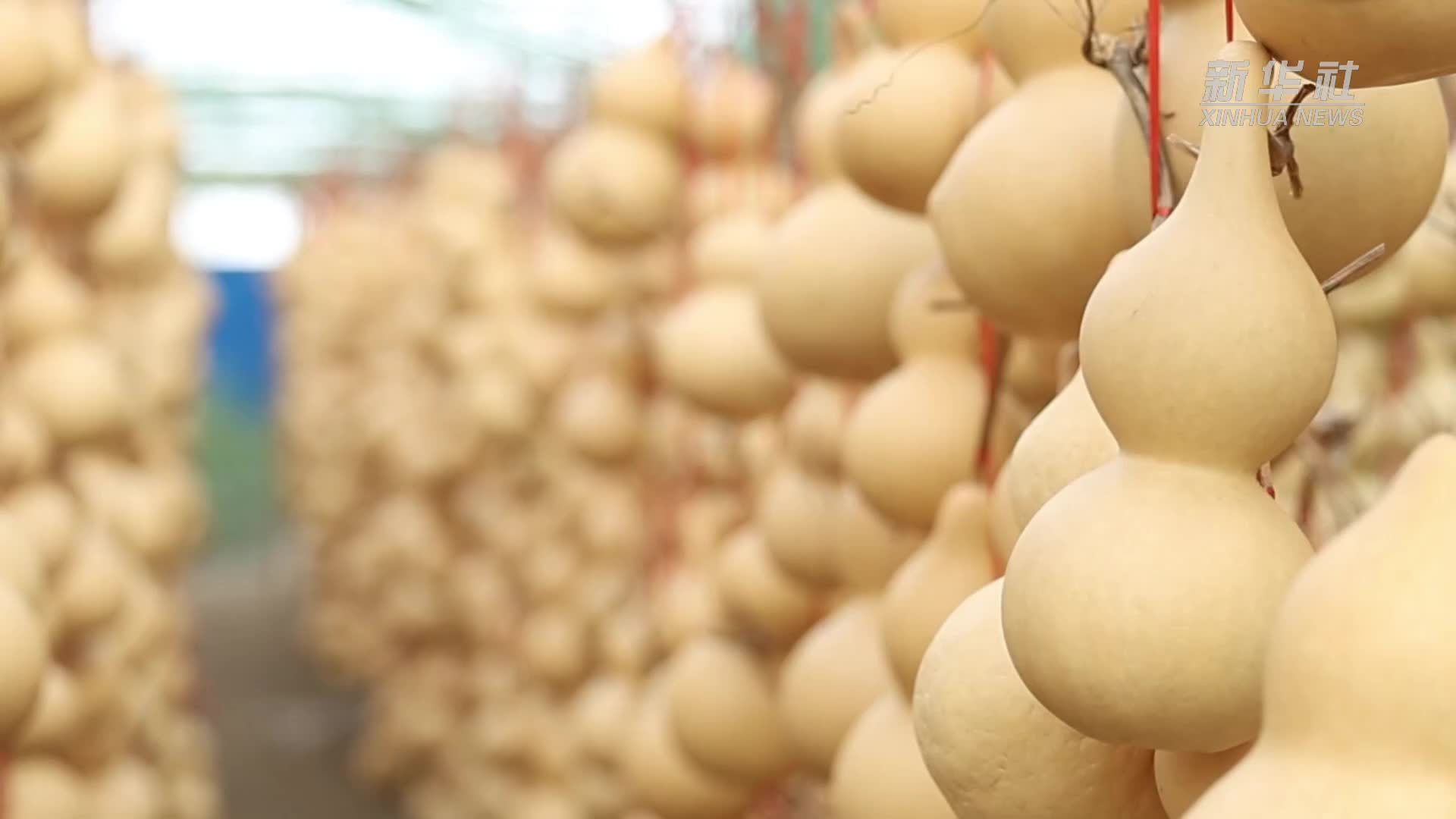 葫芦里的乡村振兴