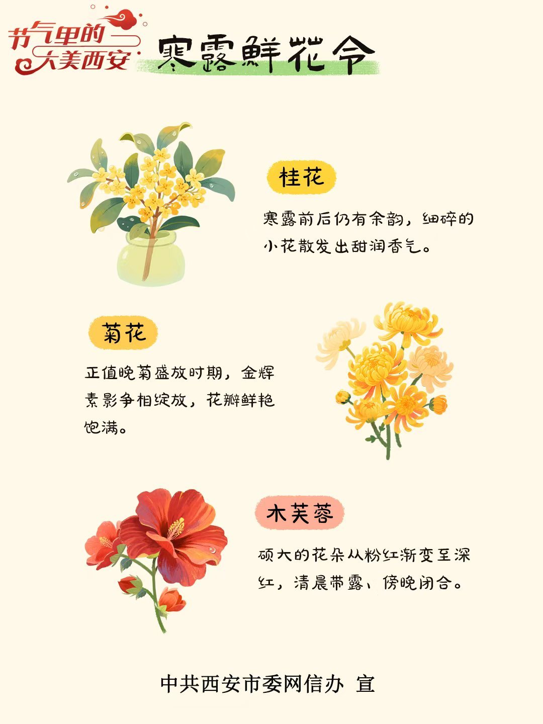 节气里的大美西安 | 今日寒露 藏在秋韵里的浪漫与烟火