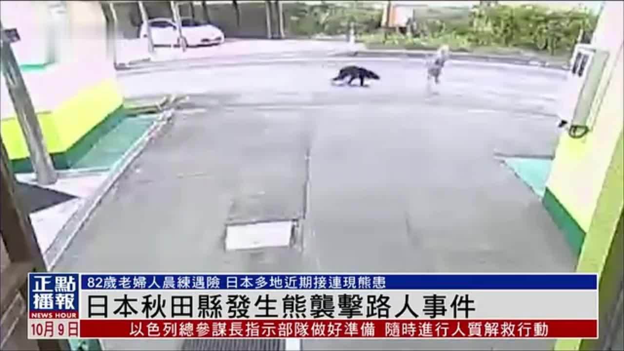 日本秋田县发生熊袭击路人事件