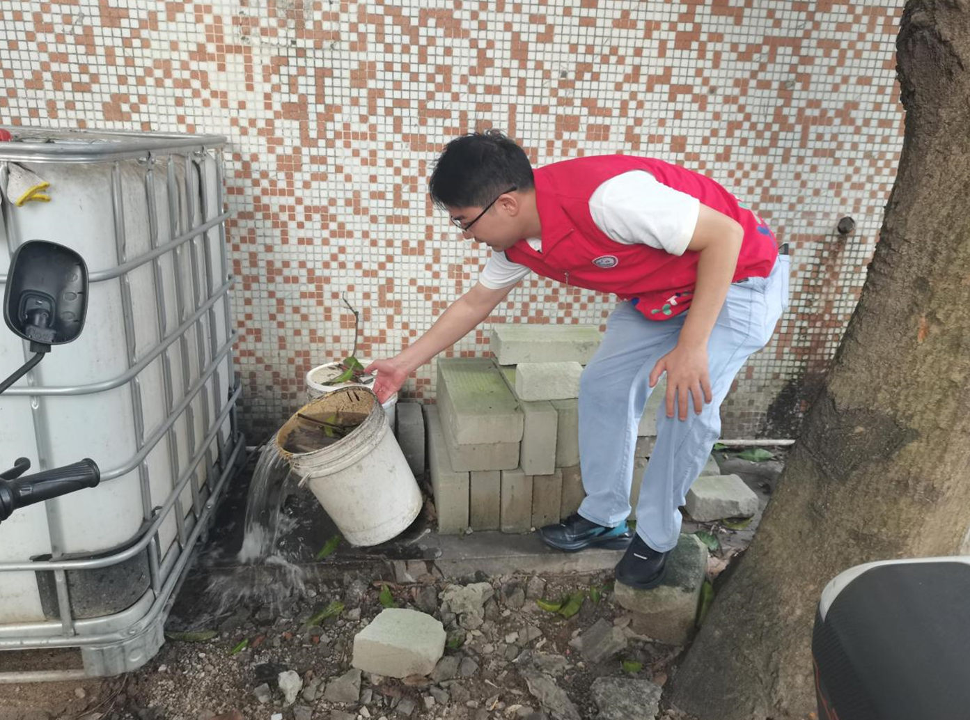 全民动手分片净化环境 西乡龙腾社区推动爱国卫生运动走深走实